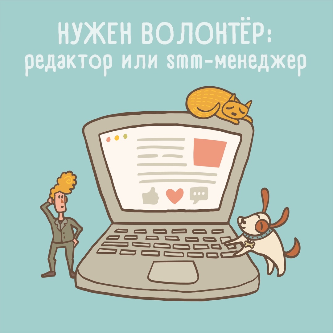 Мы ищем энергичного и креативного человека, который поможет продвигать наши соц. сети!